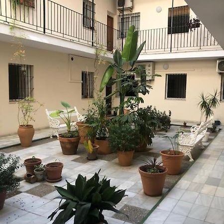 Sevilla San Bernardo Apartamento Eksteriør billede