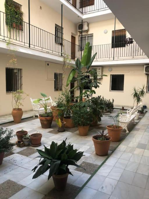 Sevilla San Bernardo Apartamento Eksteriør billede